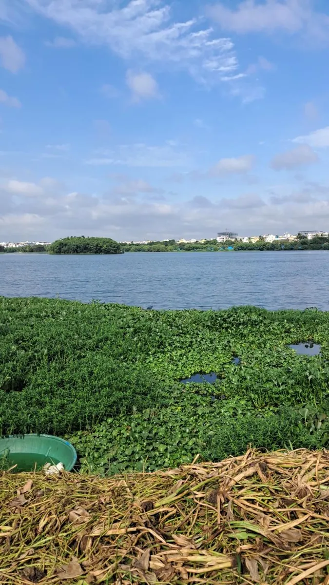 Morning Photowalk at Agara Lake, Bengaluru